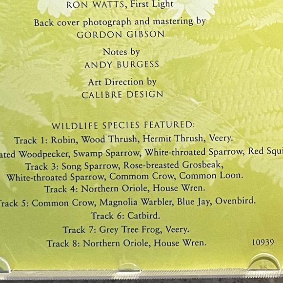 CD Dan Gibson’s Solitudes “Forest Piano” EUC 1996 - Picture 7 of 7